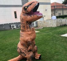 Nijeste čuli sve o Dinosaurusu Marku Bojoviću. Ima ih dva!