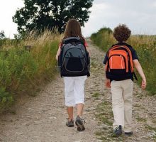 Škole prazne, a đaci hvataju signal po livadama